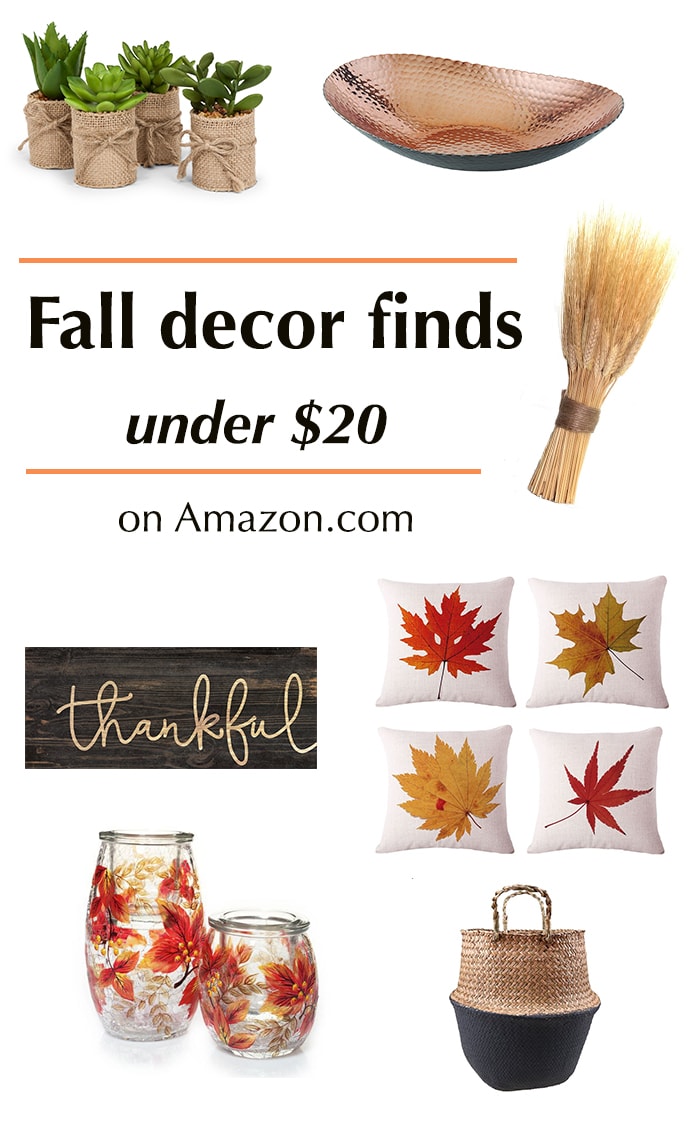 20+ Affordable Fall Decor ideas on Amazon (under 20) Anika's DIY Life