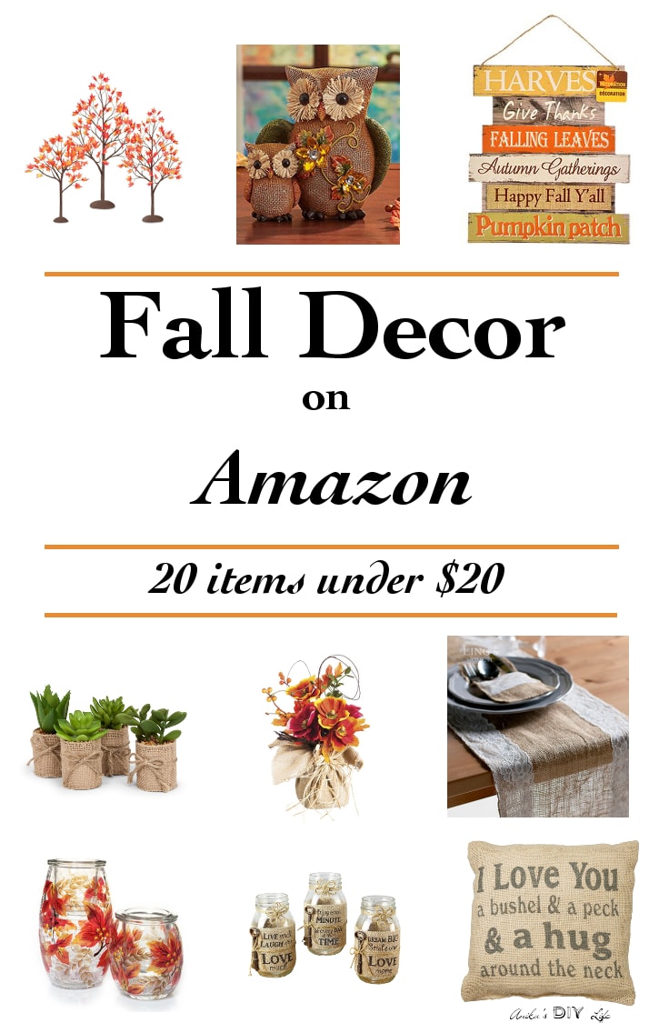 20+ Affordable Fall Decor ideas on Amazon (under 20) Anika's DIY Life