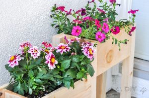 Easy $10 DIY Tiered Planter Box [with Plans] - Anika's DIY Life