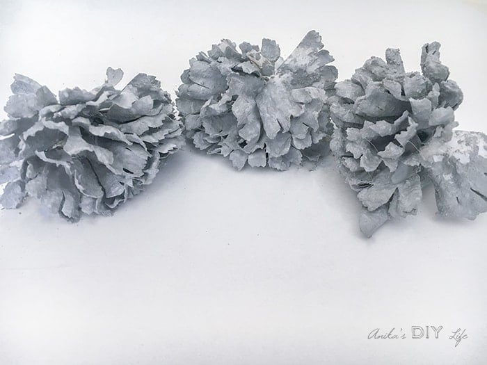 Easy and quick concrete project - DIY Concrete Flowers