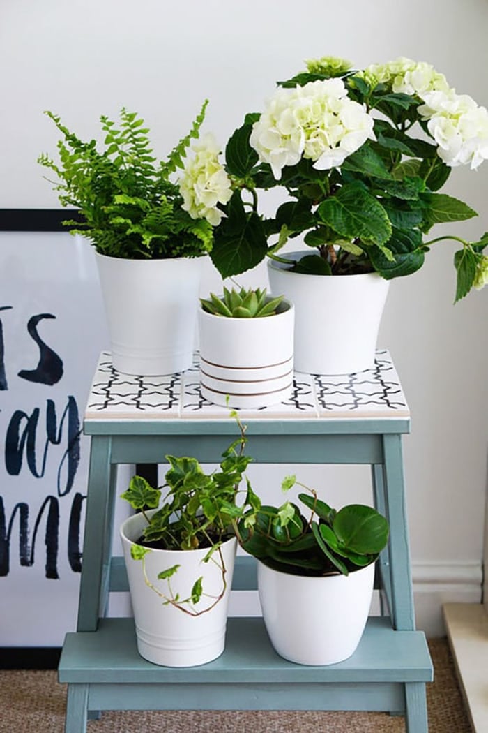 20 Surprisingly Chic Ikea Hacks For Plants In Your Life Anika's DIY Life