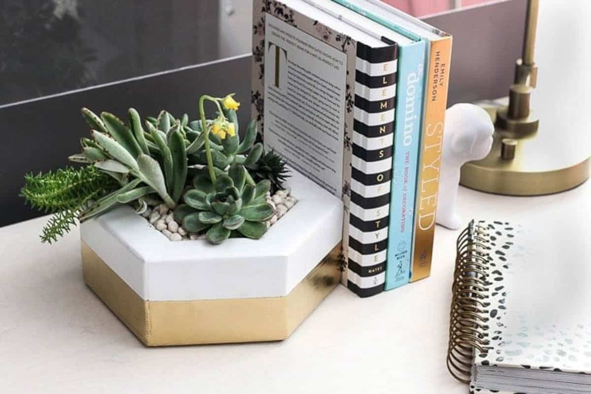 small hexagon planter 2X4 project ideas