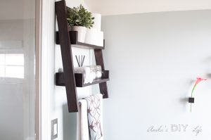 Small Bathroom Remodel - Ideas On A Budget - Anika's DIY Life