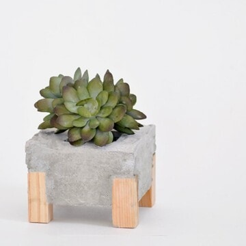 Concrete Archives - Anika's DIY Life