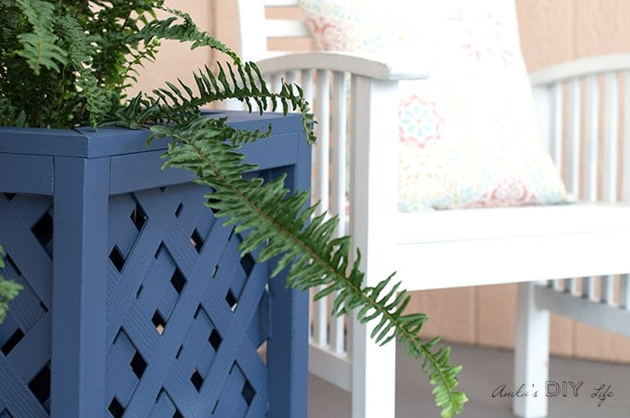 Close up the DIY lattice planter box