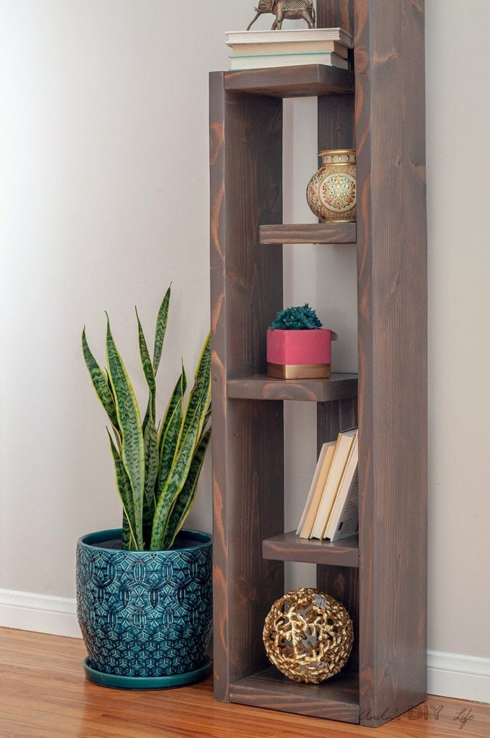 DIY Modern Bookshelf with decor items and text overlay