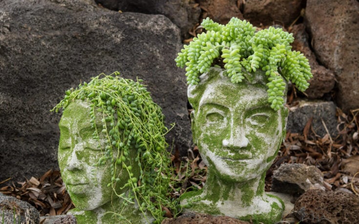 24 DIY Concrete Planter Ideas That Are Easy & Fun - Anika's DIY Life
