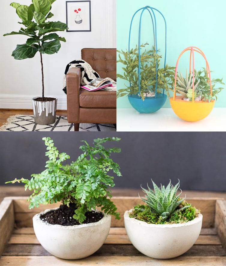 24 DIY Concrete Planter Ideas That Are Easy & Fun - Anika's DIY Life