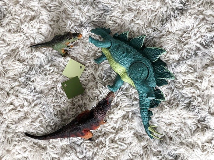 Final color paint chips and dinosaurs on rug