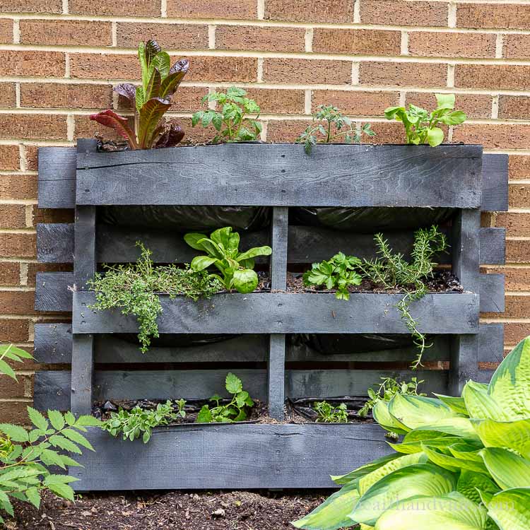 small space garden made from a pallet