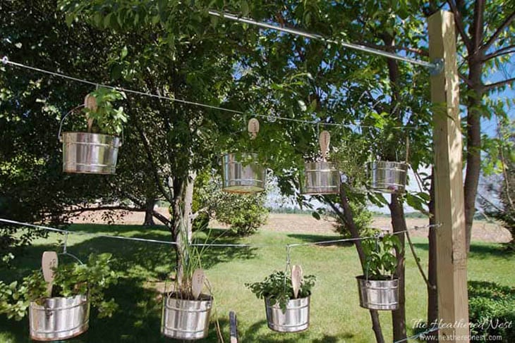 Aluminum buckets hanging with herbs