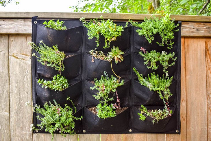 vertical succulent garden made with a pocket planter