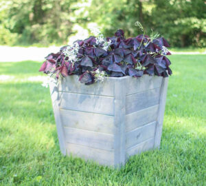 45 Easy And Amazing DIY Wooden Planter Box Ideas You Can Make!