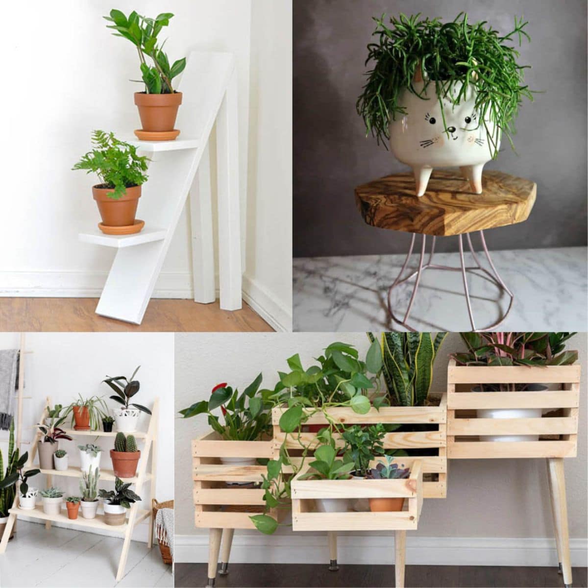 Living Room Plant Stand Ideas Baci Living Room