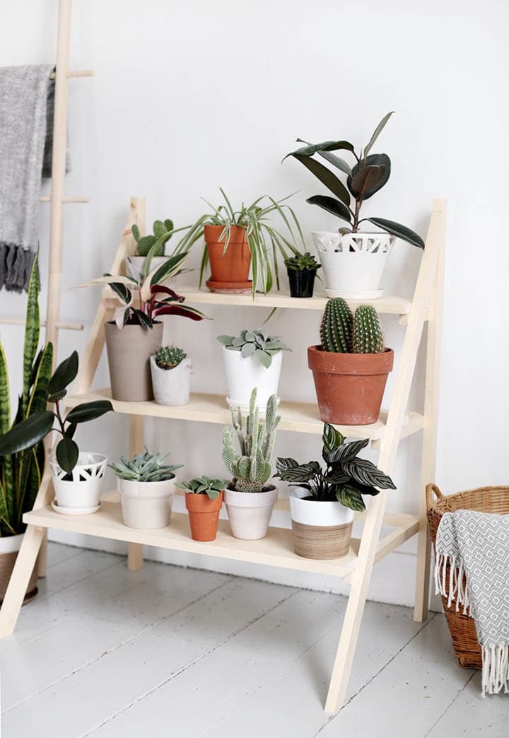 wooden ladder plant stand with plants