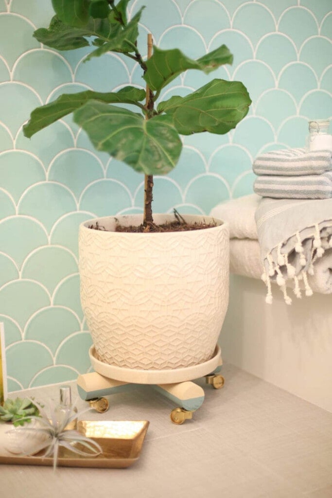 Plant sitting on plant stand with wheels in a bathroom