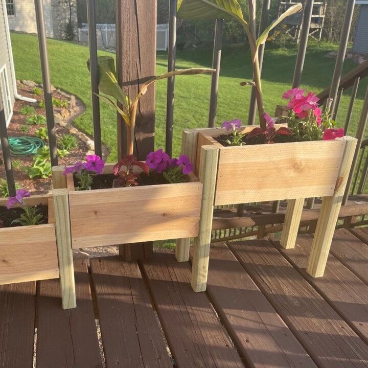 Easy $10 DIY Tiered Planter Box [with Plans] - Anika's DIY Life