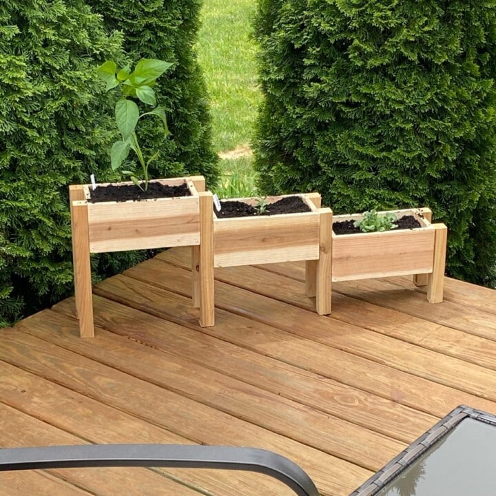 Easy $10 DIY Tiered Planter Box [with Plans] - Anika's DIY Life