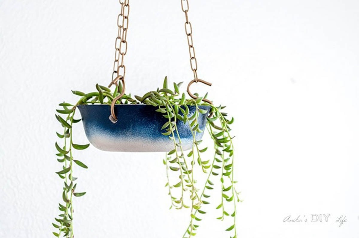 1. 10 Creative DIY Gift Ideas for Any Occasion 9. Potted Plants