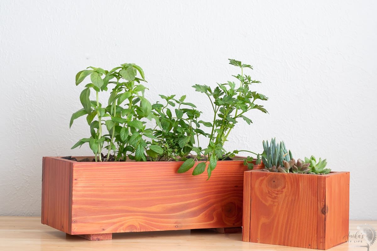 Vasos de Madeira DIY: Projeto Simples e Econômico para Iniciantes 23 Plantadores de pau-brasil com ervas e suculentas