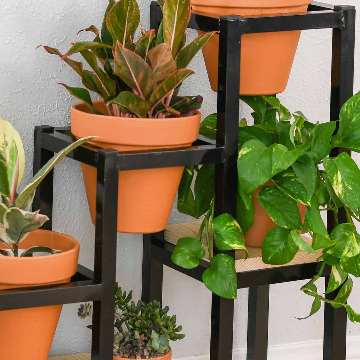 10-ways-to-bring-biophilic-design-into-your-home-anika-s-diy-life