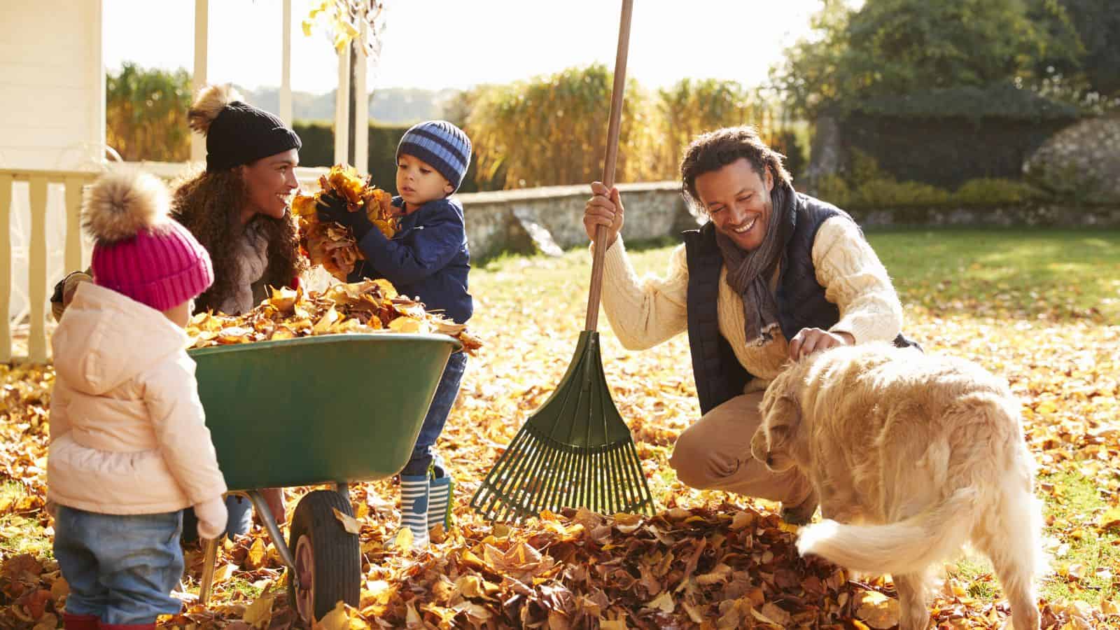 family cleaning up leaves in yard