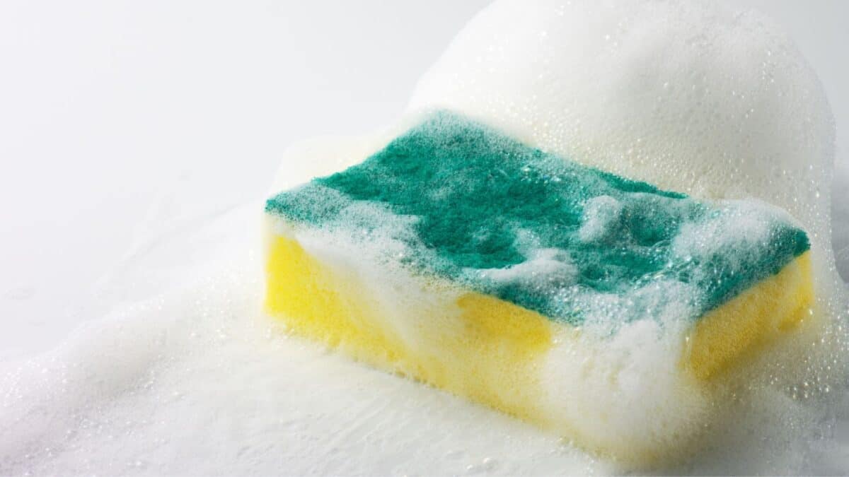 soapy sponge