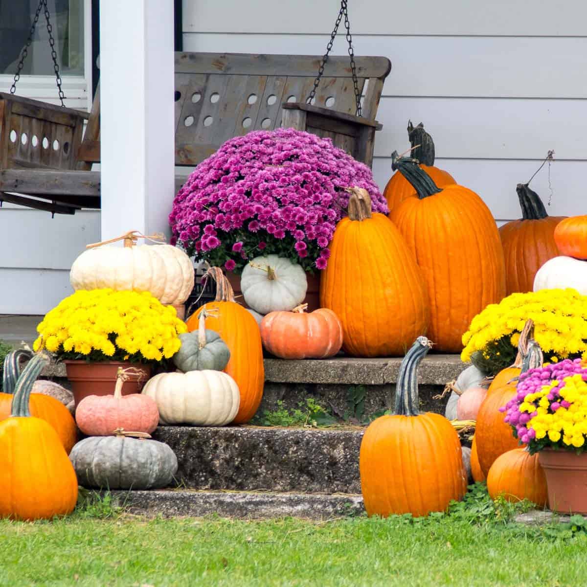 fall-decor-ideas-to-celebrate-the-season-anika-s-diy-life