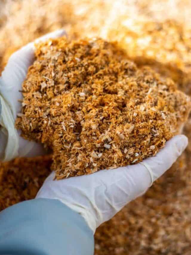 12 Genius Uses For Sawdust That You Probably Didn’t Know Anika's DIY Life