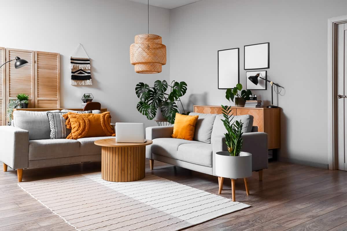 Interior of living room with green houseplants and sofas