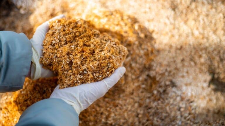 12 Genius Uses for Sawdust That You Probably Didn’t Know