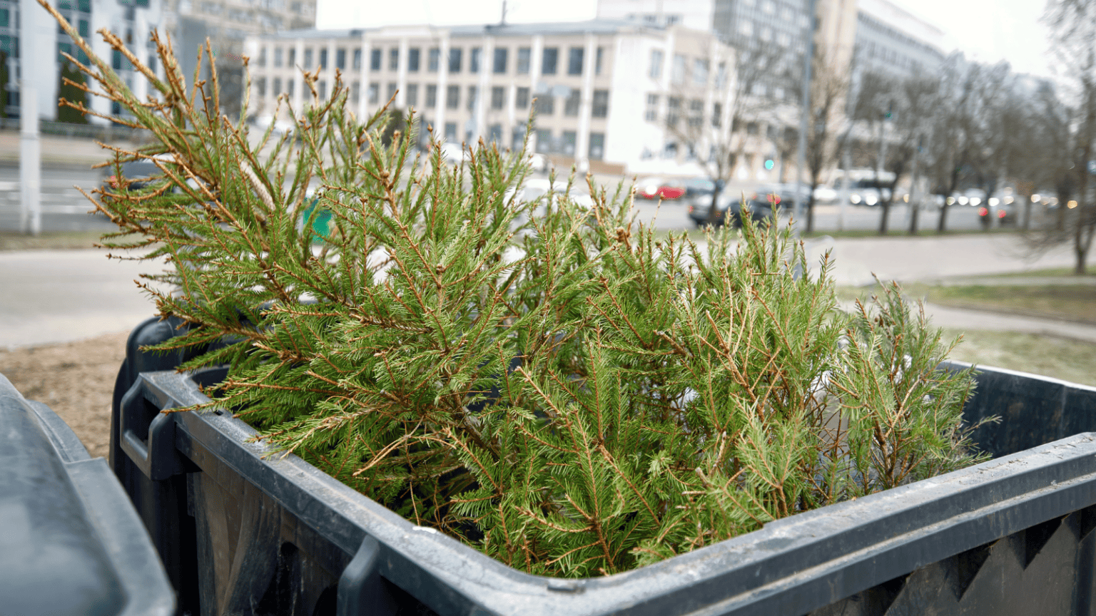 6 Benefits Of Artificial Christmas Trees Vs. Real Trees Anika's DIY Life