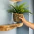 25 Easy DIY Shelf Ideas For Your Walls - Anika's DIY Life