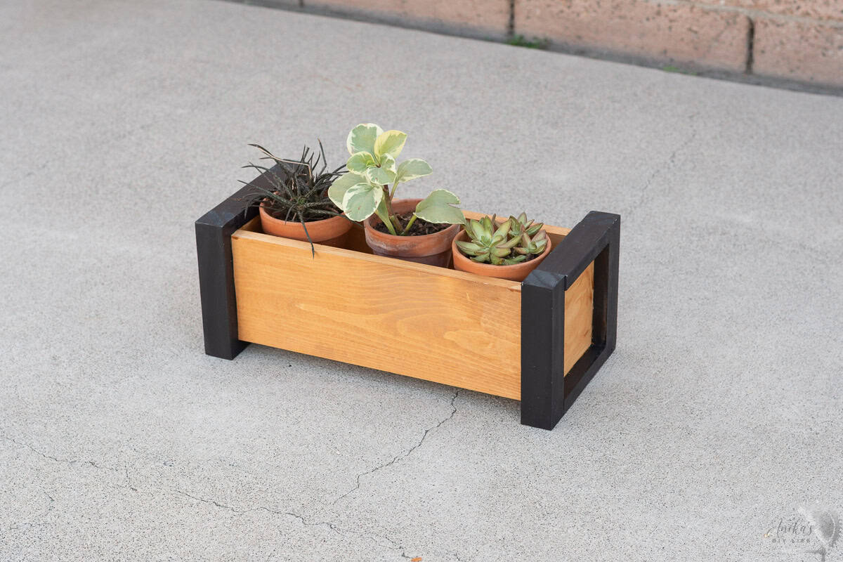 DIY modern tabletop planter on the concrete with succulents in it.