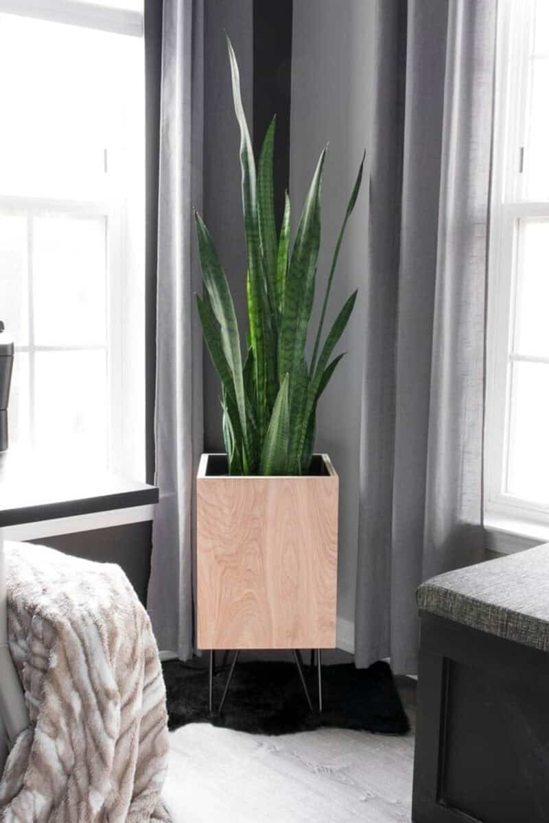 Modern planter box with hairpin legs made from plywood