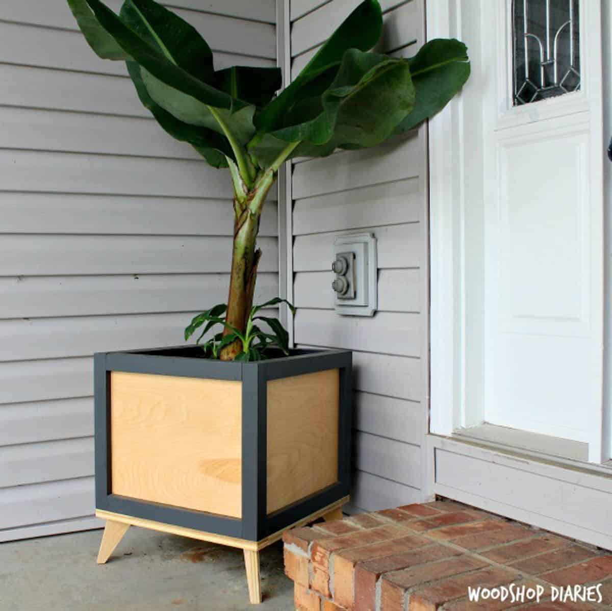 Modern planter with plant next to front door