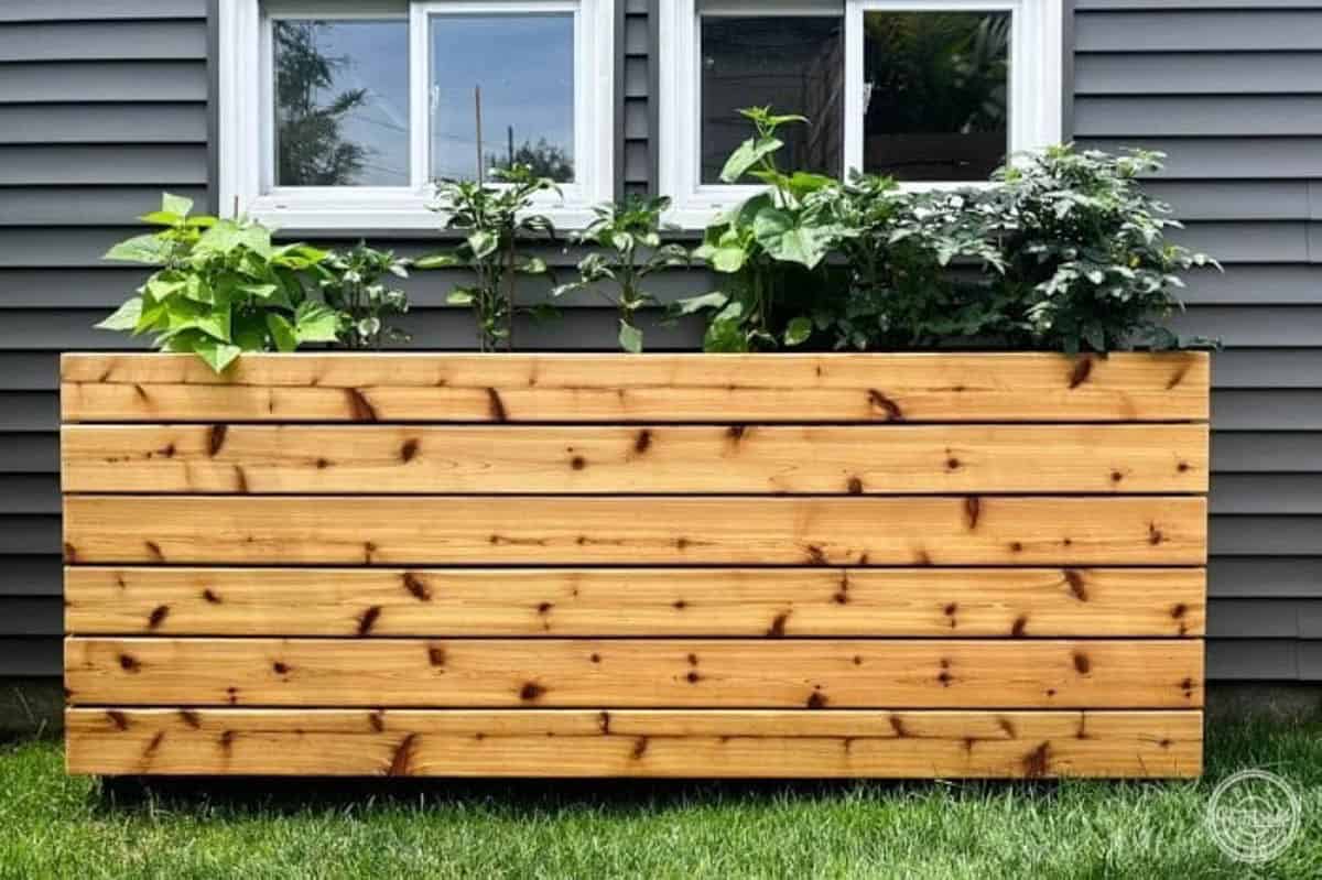 Raised outdoor planter box with plants made from cedar