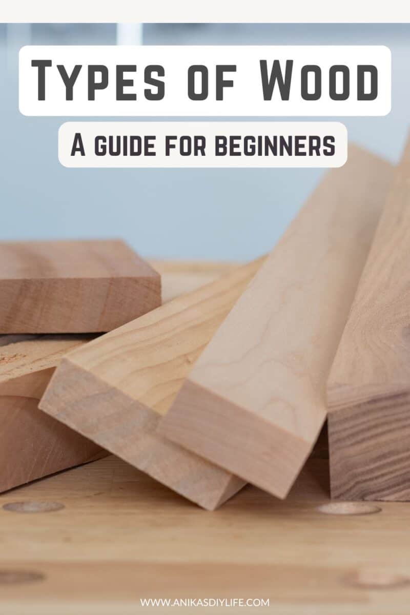 various types of lumber on workbench with text overlay - types of wood - guide for beginners