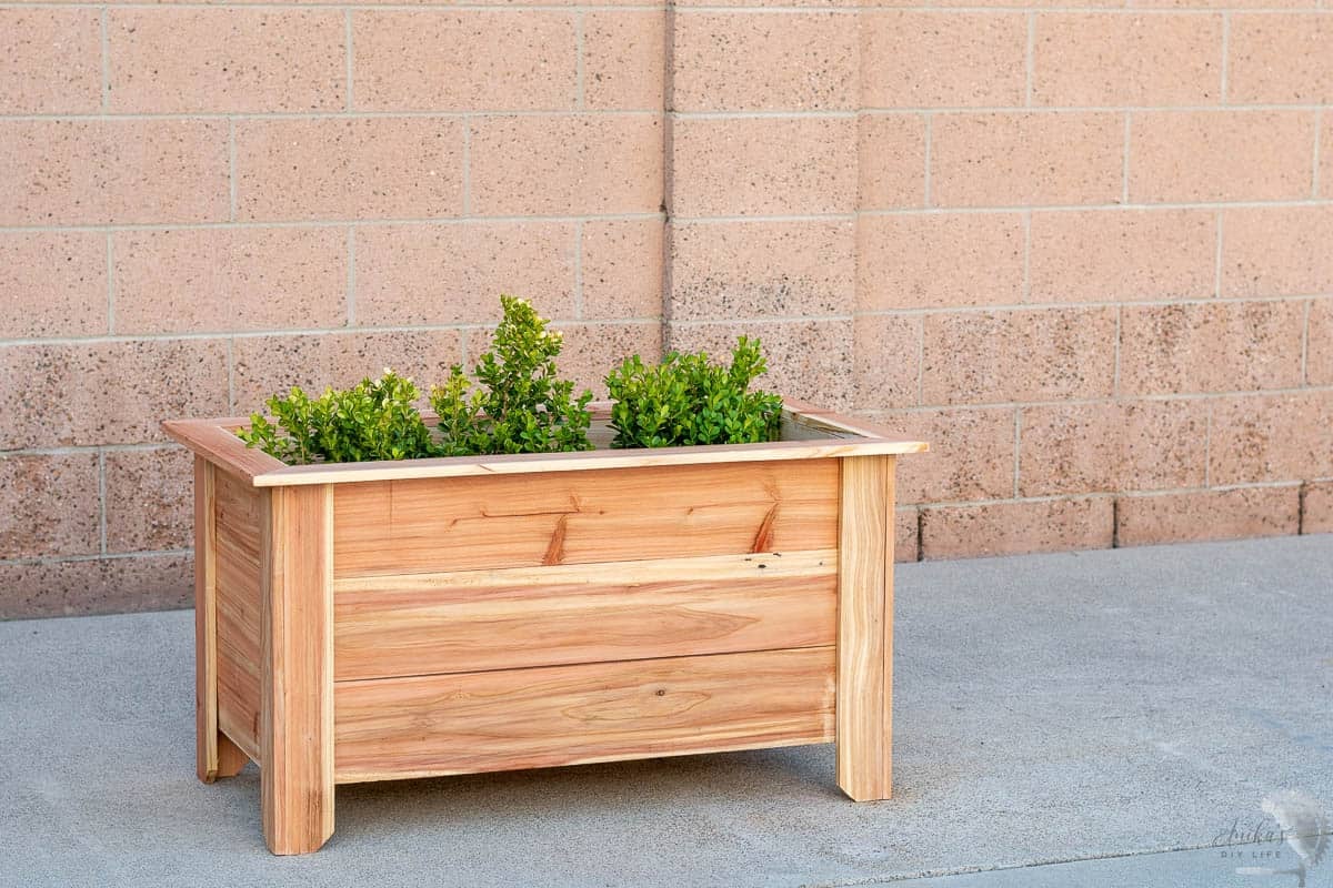 Rectangular cedar planter on concrete driveway.  with small plants in it. 
