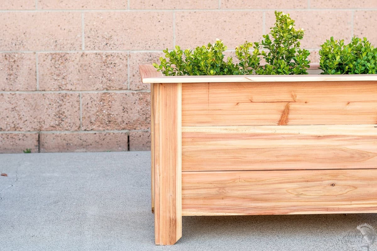 Front view of the raised cedar planter box in front of a brick wall