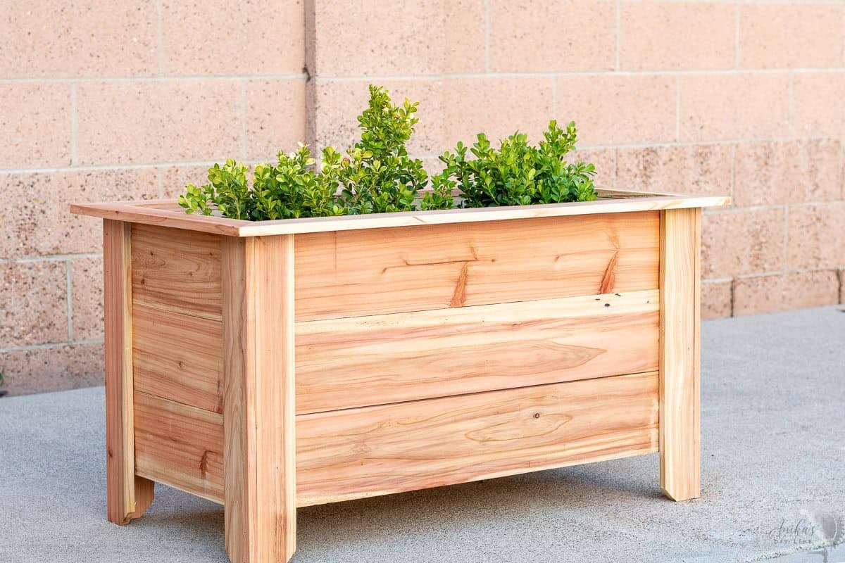 Close up of the raised cedar planter box with small plants on a concrete driveway