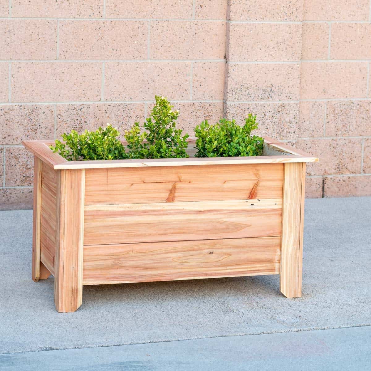 Learn how to build a DIY cedar raised planter for under $30 with these step-by-step tutorials and free plans. Perfect for herbs and vegetables.