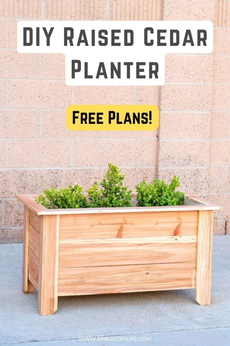 Rectangular cedar planter on concrete driveway. with small plants in it with text overlay - DIY raised cedar planter - free plans
