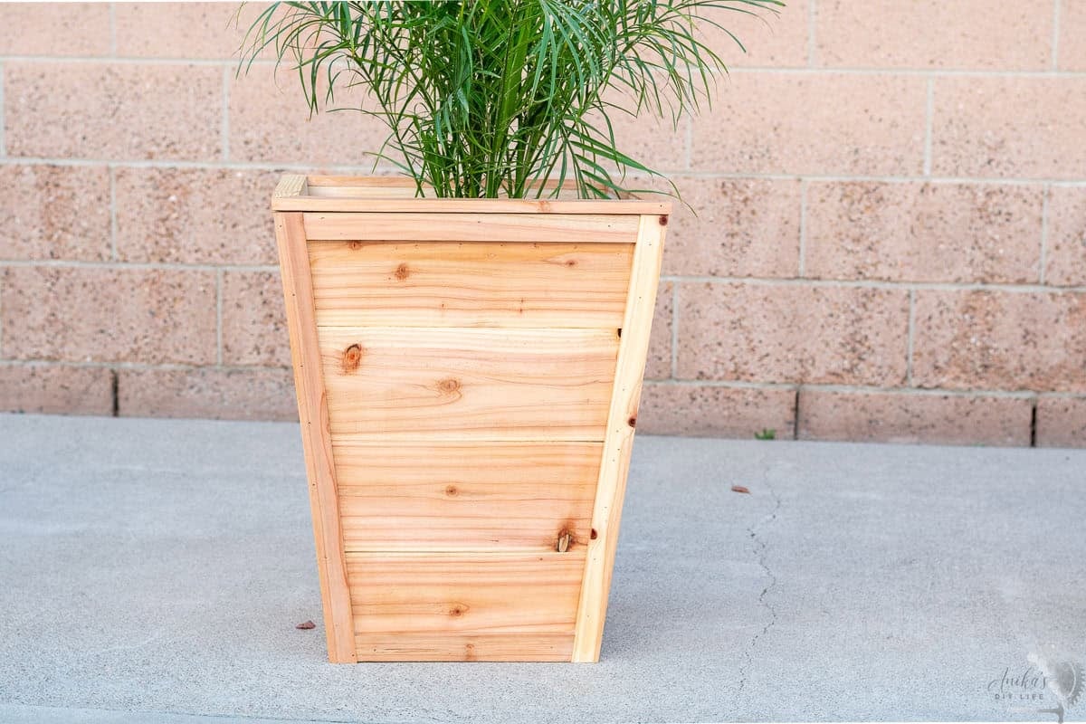 Front view of the DIY tapered cedar planter on a driveway.