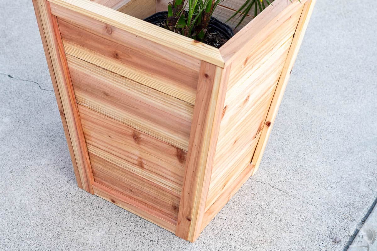 Close up of the tapered cedar planter on concrete driveway