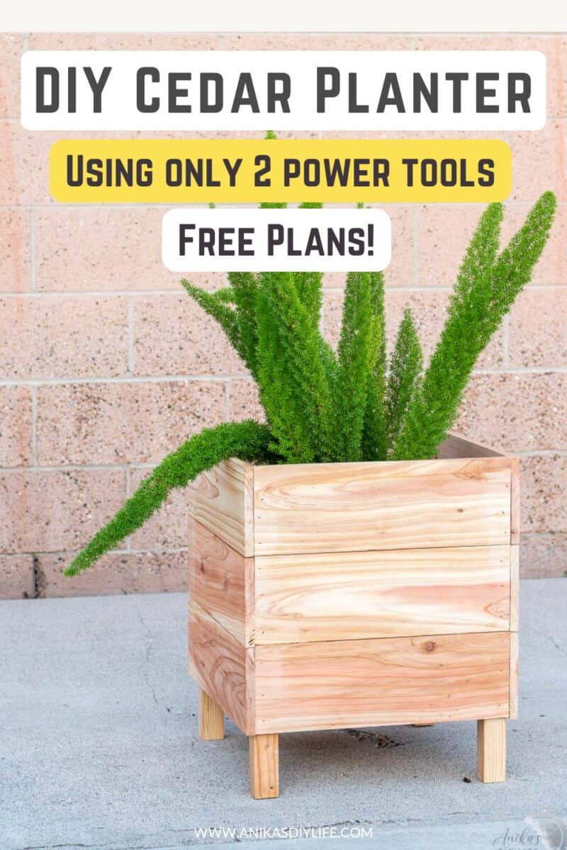 Square DIY cedar planter on a concrete driveway with fern inside and text overlay - DIY cedar palter using only two power tools and free plans.