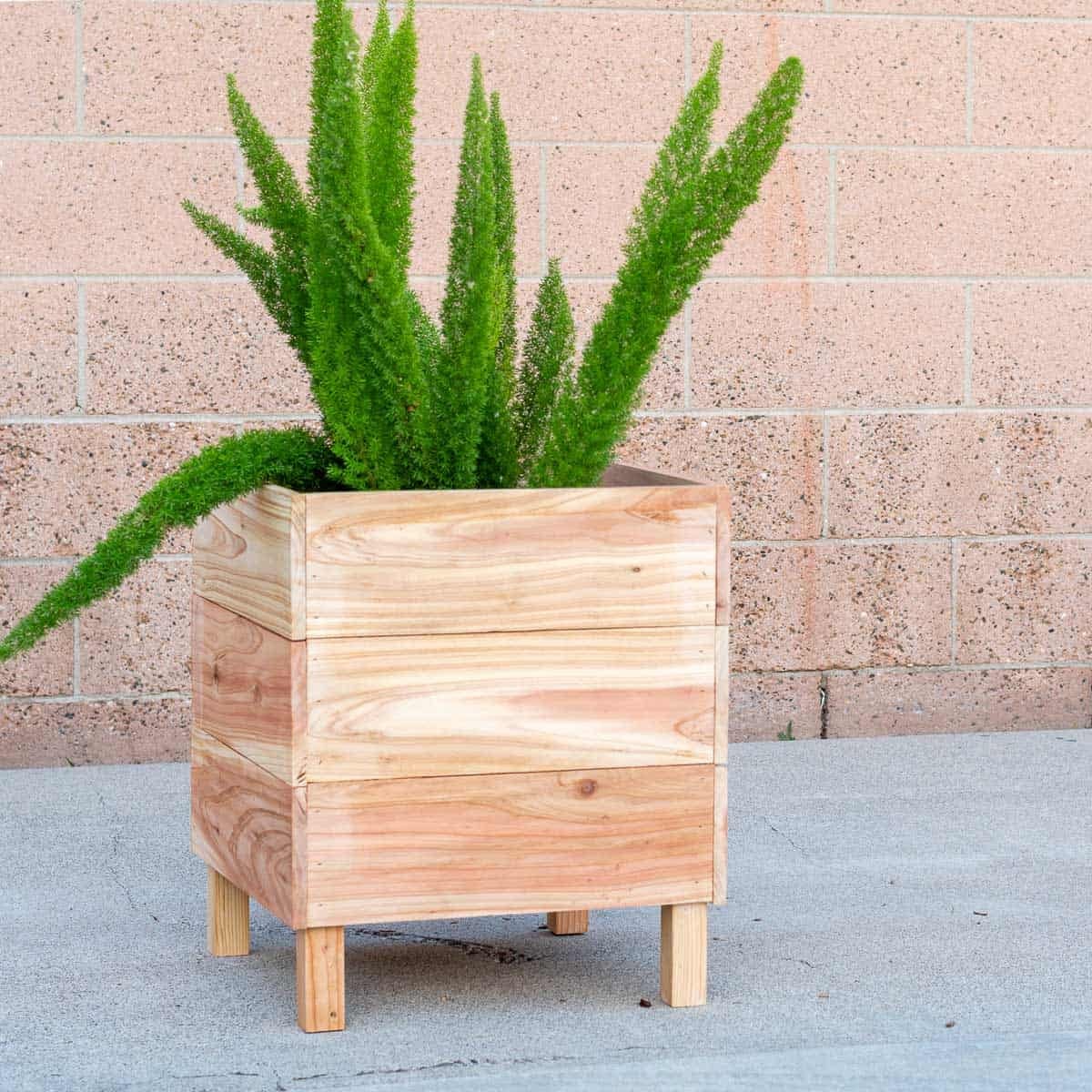 Learn how to build a DIY square cedar planter box with no table saw required! This easy, budget-friendly tutorial is perfect for beginners using basic tools.